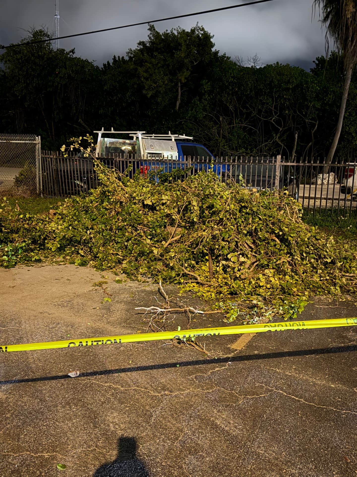 Storm Cleanup — Piled debris ready for removal
