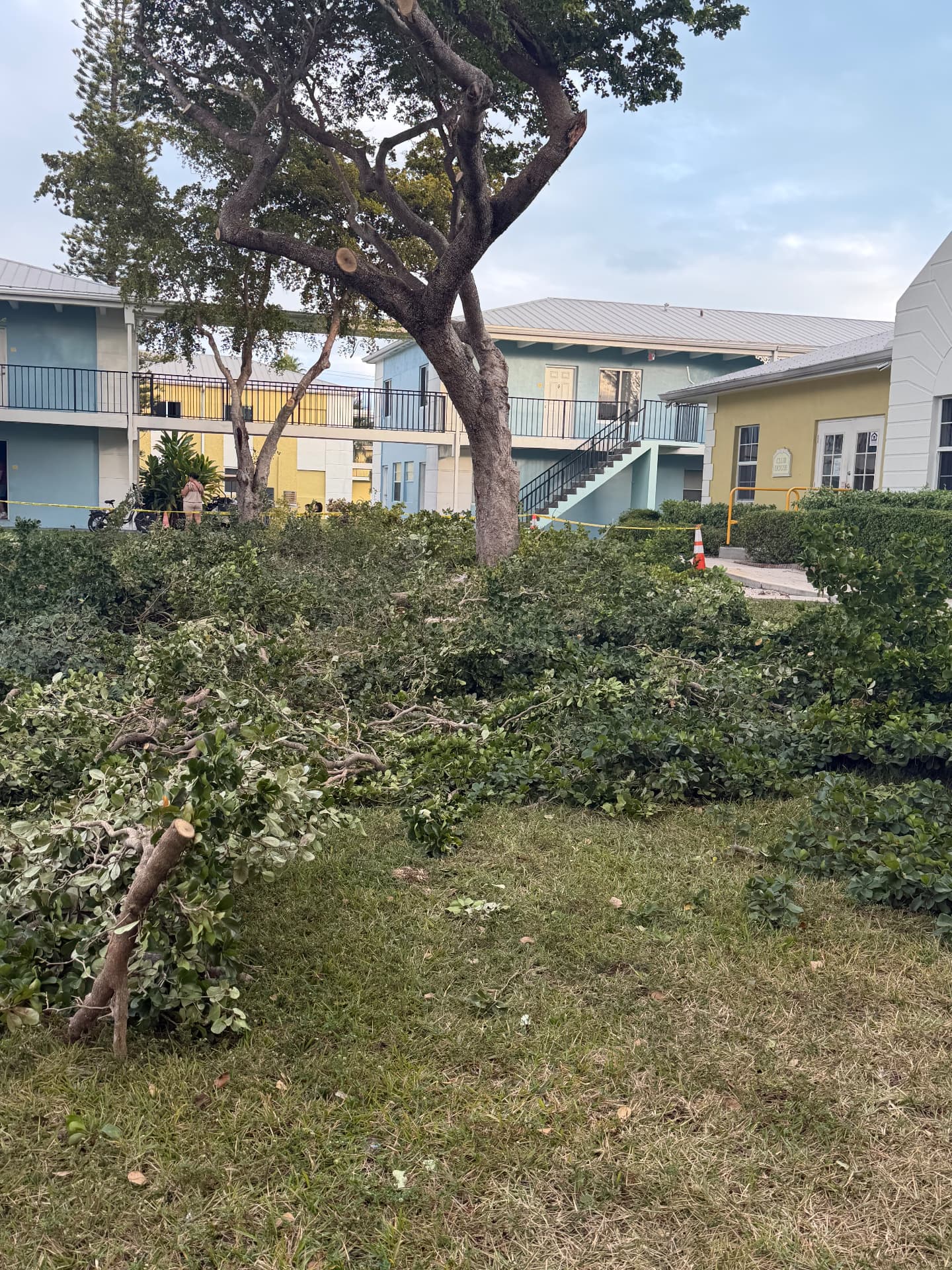 Storm Cleanup — Post-trim branch clearing — apartment complex