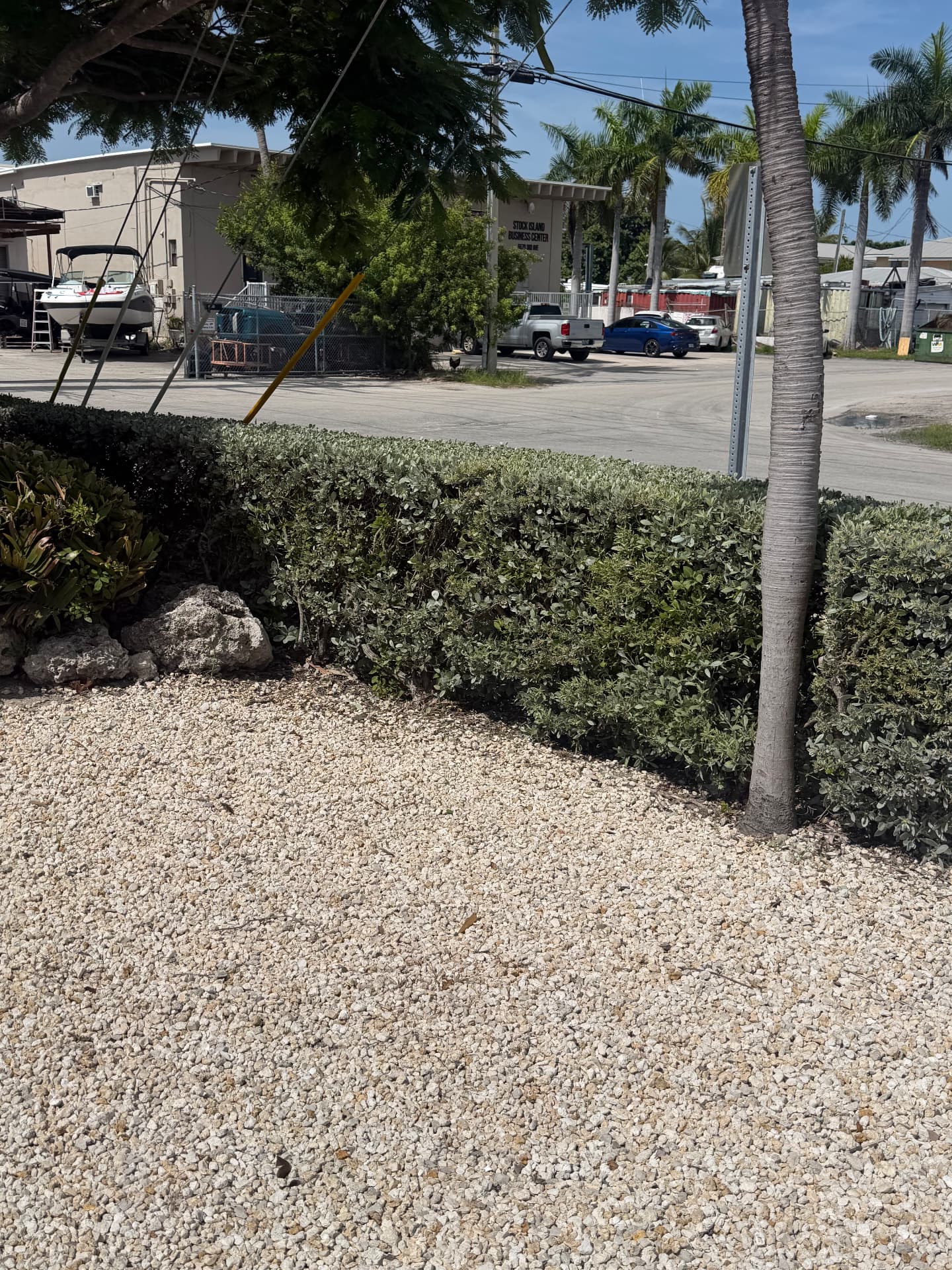 Apartment & Commercial Complex Maintenance — Well-kept hedge bed with palm and gravel ground cover