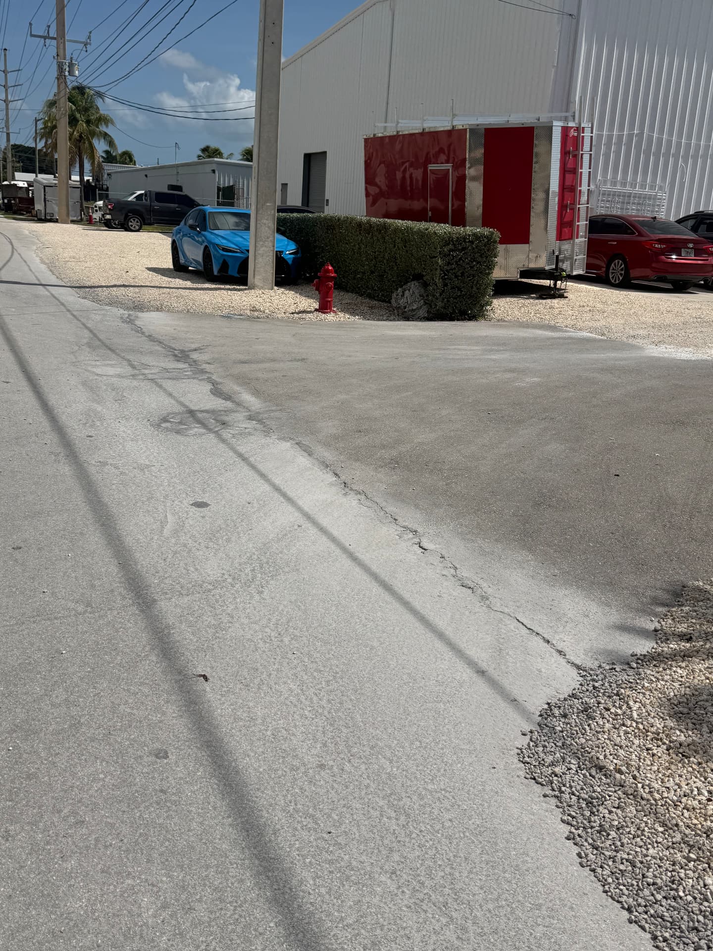 Apartment & Commercial Complex Maintenance — Commercial property hedge and fire-hydrant clearance