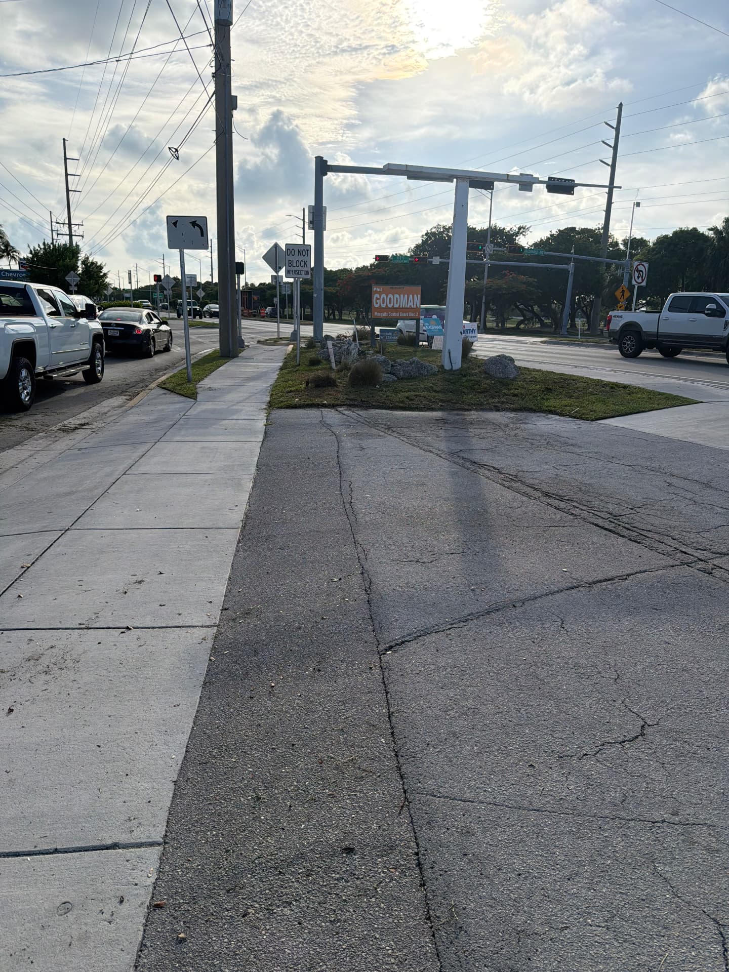 Exterior Property Care — Street median and sidewalk edging — commercial corridor