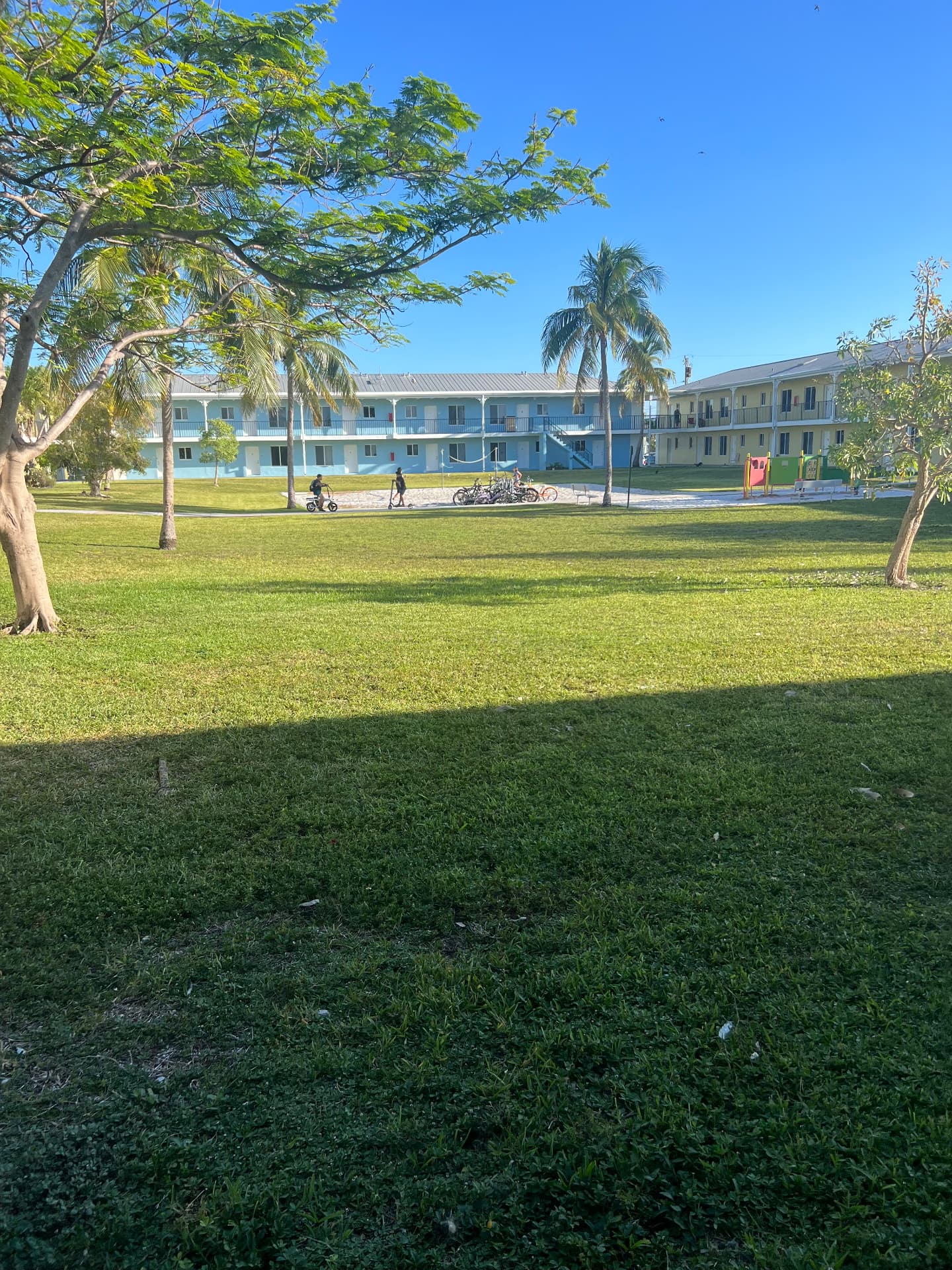 Apartment complex lawn and palm care in the Florida Keys