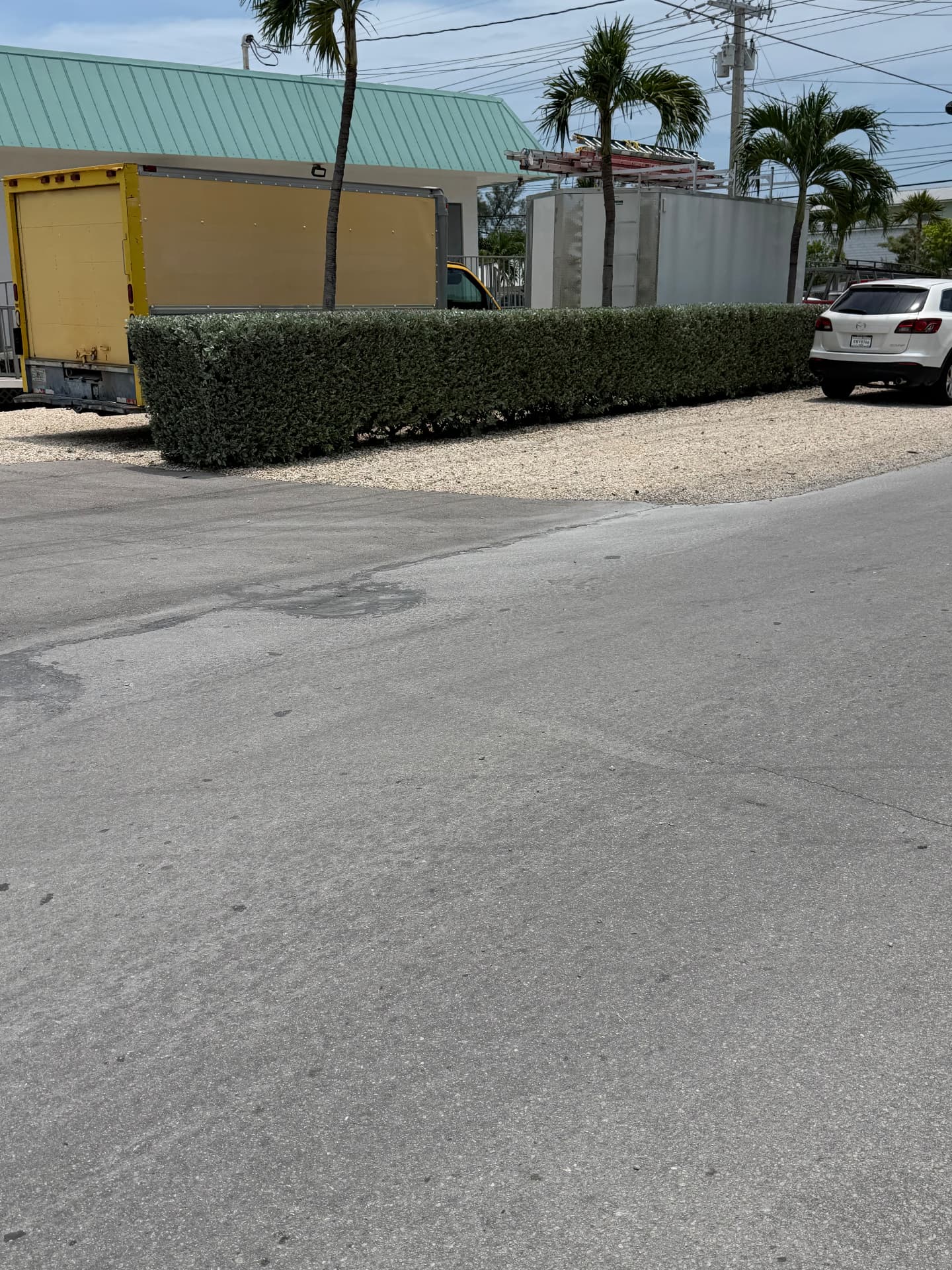 Apartment & Commercial Complex Maintenance — Commercial complex perimeter hedge maintenance
