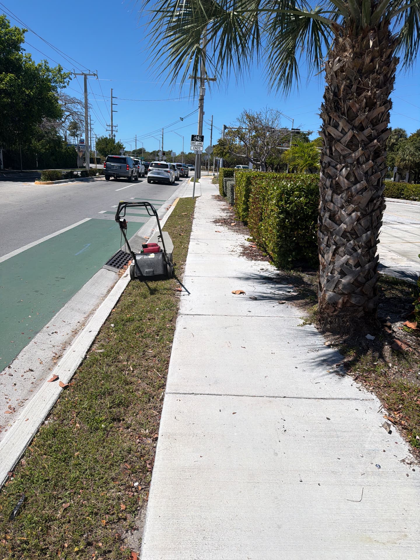 Exterior Property Care — Sidewalk edge mowing and palm trimming — commercial strip