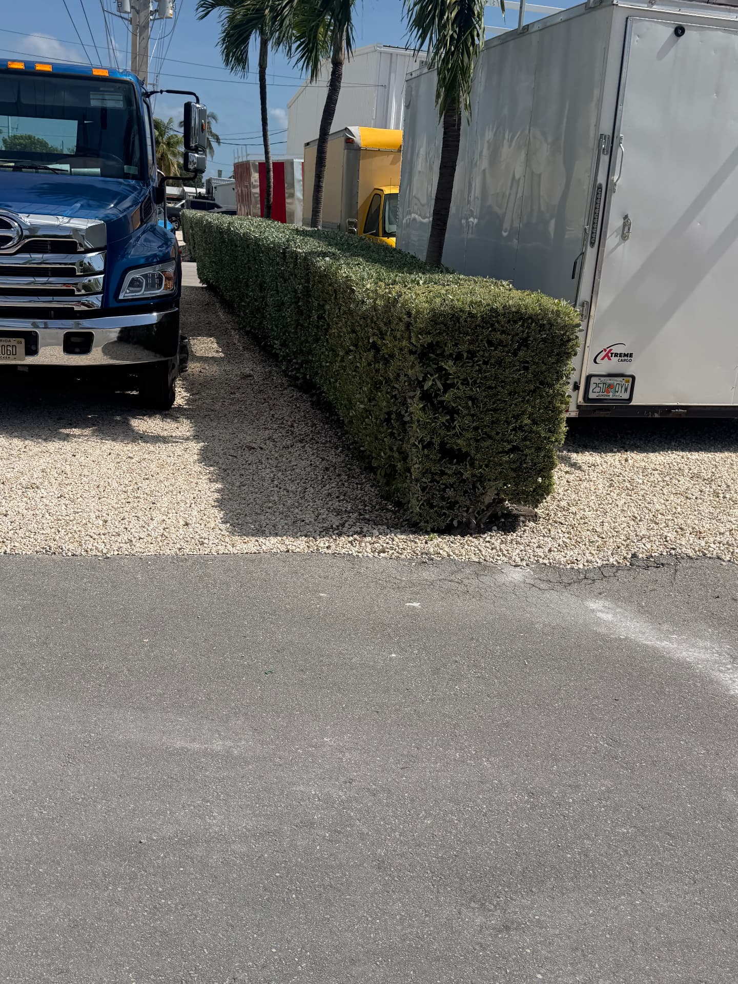 Commercial complex hedge row maintenance