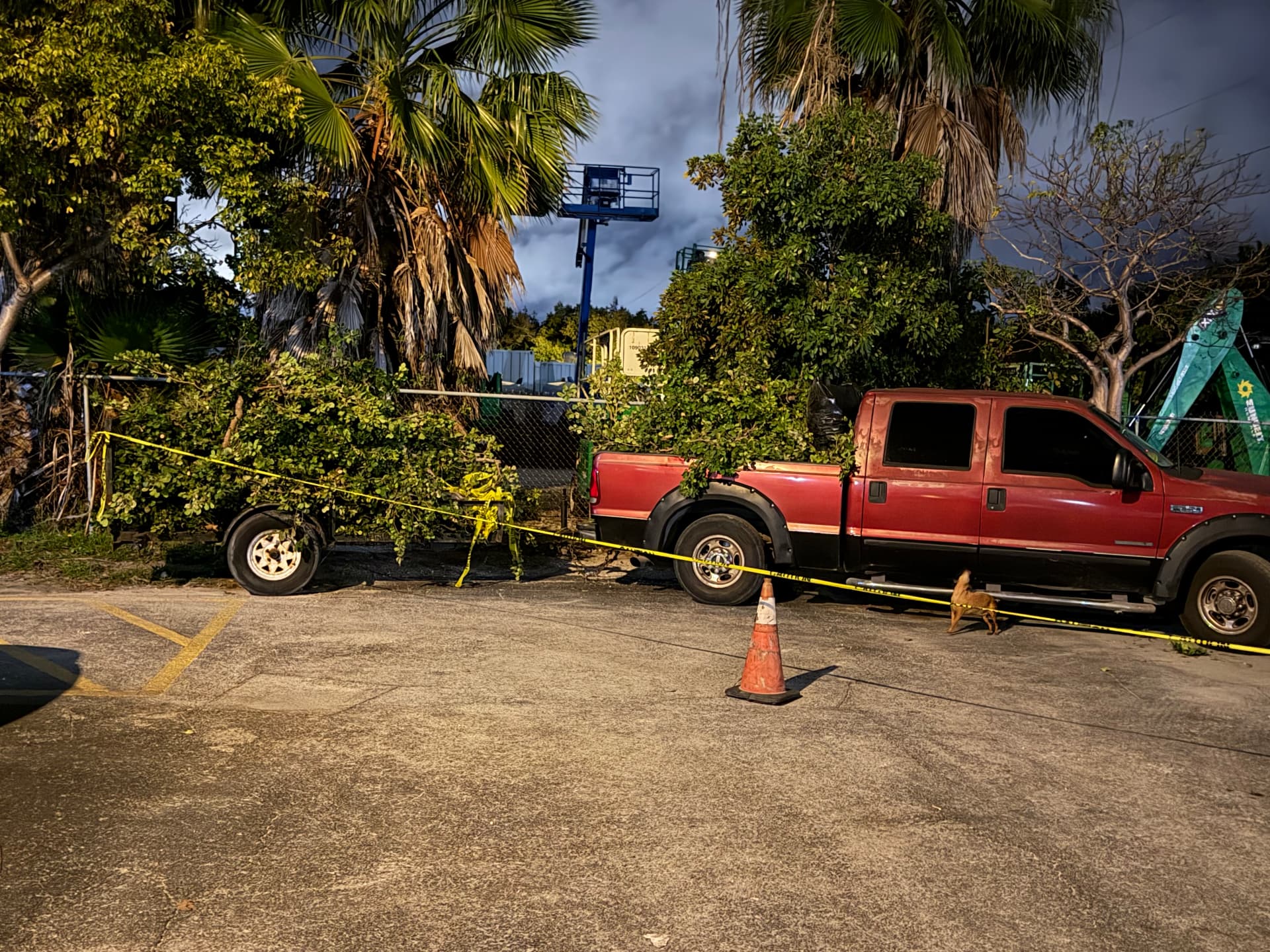 Storm Cleanup — Trailer loaded with trimmed vegetation