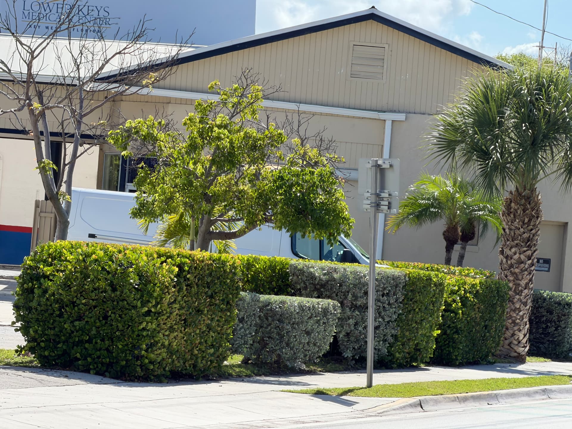 Apartment & Commercial Complex Maintenance — Medical center hedge and palm landscaping