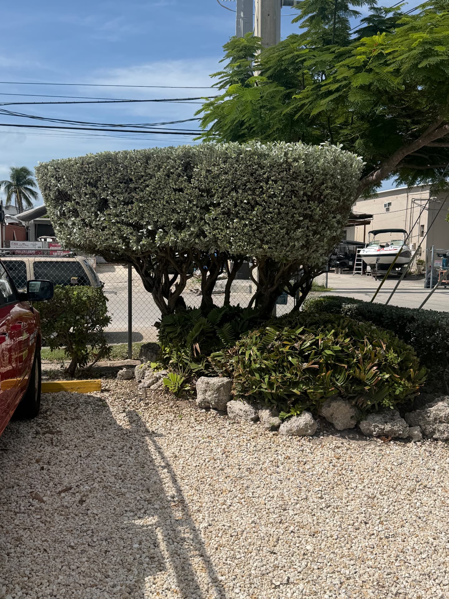 Apartment & Commercial Complex Maintenance — Shaped hedge and rock bed — commercial entrance